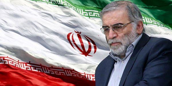 پیام تسلیت مدیرکل ارتباطات آذربایجان غربی در پی شهادت دکتر فخری زاده